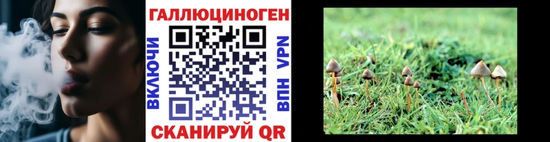 где продают наркотики Когалым Галлюциногенные грибы Cubensis